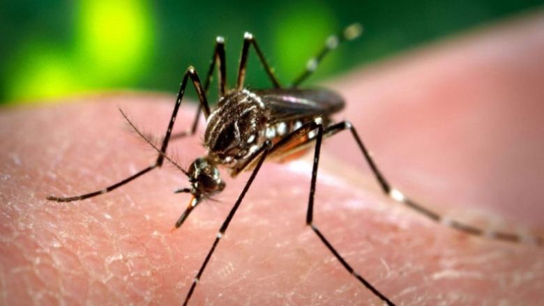 Dead bird in Brown County tests positive for West Nile Virus
