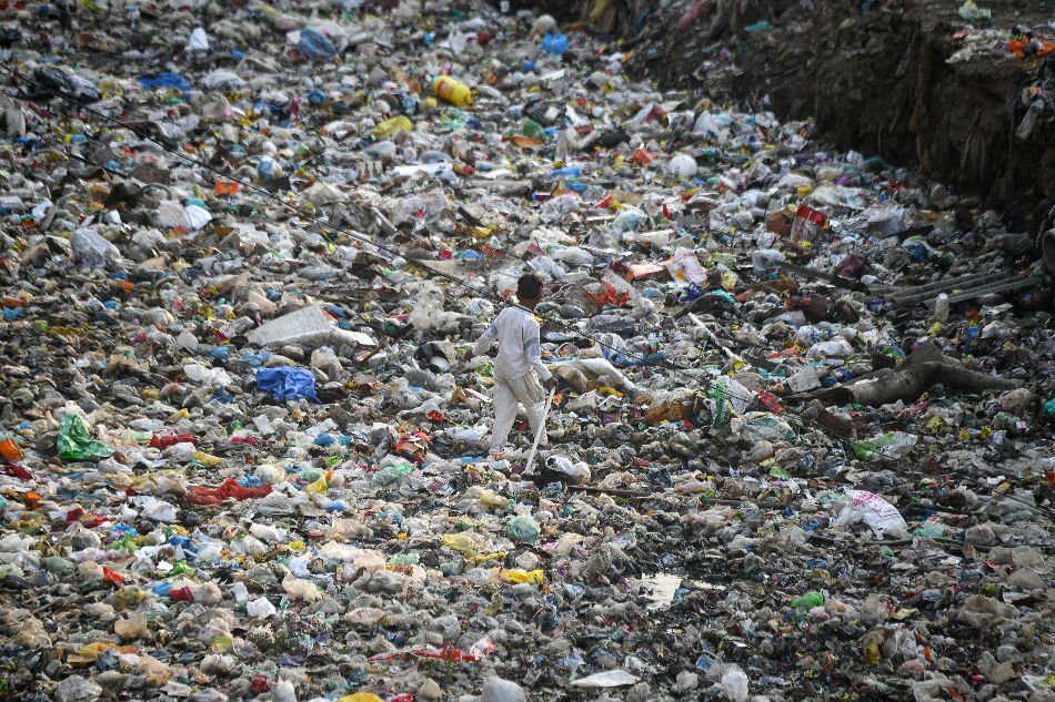 Prime Minister to address global celebrations of World Enviroment Day