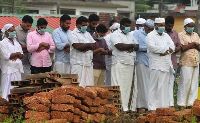 Bats found dead: Has Nipah Virus reached Himachal Pradesh?